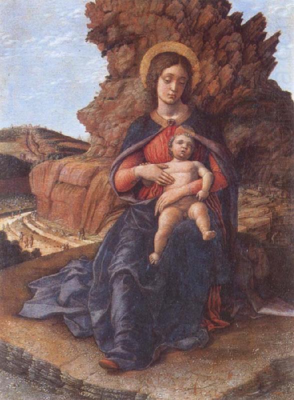 Andrea Mantegna Madonna and child china oil painting image